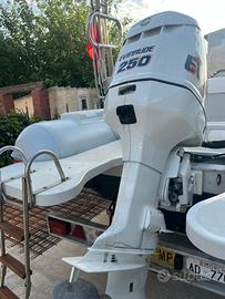 Ricambi Evinrude 250hp