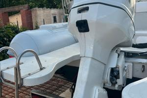 Ricambi Evinrude 250hp