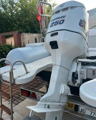 Ricambi Evinrude 250hp
