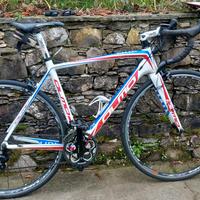 olmo telaio carbonio