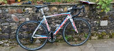 olmo telaio carbonio