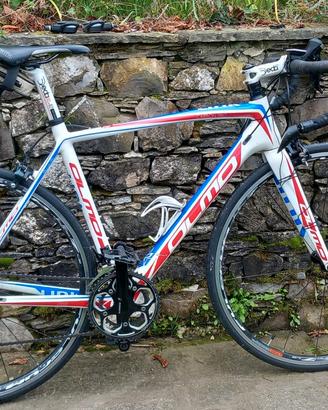 olmo telaio carbonio