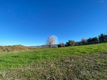 TER. AGRICOLO A CALVI DELL'UMBRIA