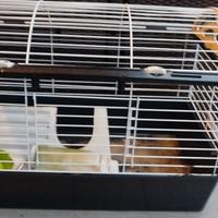 gabbia per conigli cavie criceti arcaplanet 