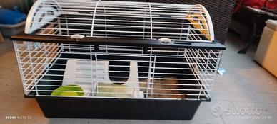 gabbia per conigli cavie criceti arcaplanet 