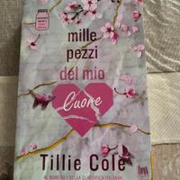 libro MILLE PEZZI DEL MIO CUORE