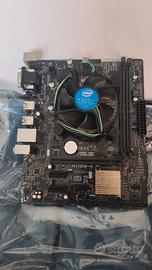 Scheda Madre ASUS H110M-K + CPU Intel Core i3-7100