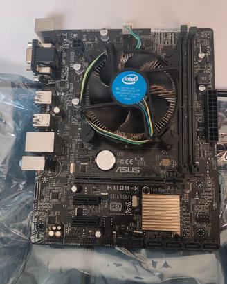 Scheda Madre ASUS H110M-K + CPU Intel Core i3-7100