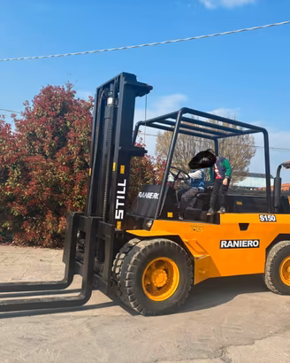 S139 - Muletto 130 q Raniero