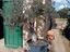 Immagine 4
