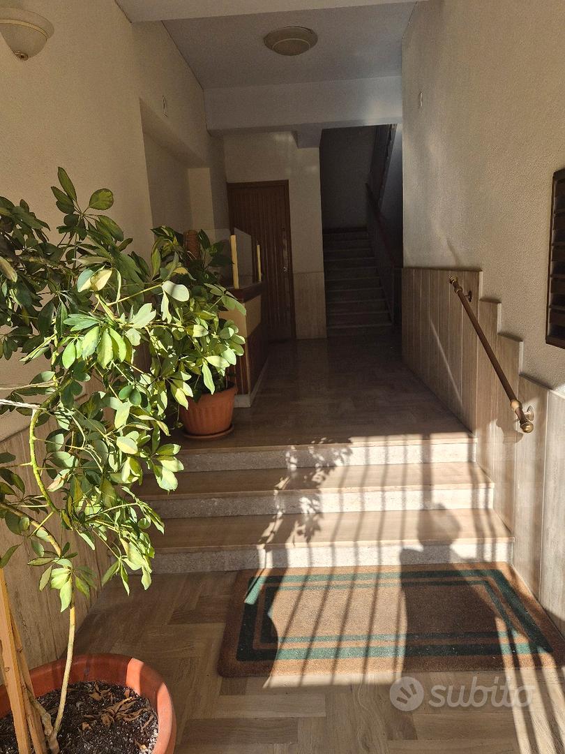 Appartamento – Palermo, Quartiere Matteotti, VIII Circoscrizione - Vista 3