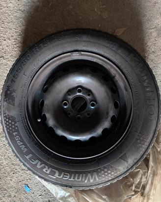 Gomme e cerchi Fiat Panda 169