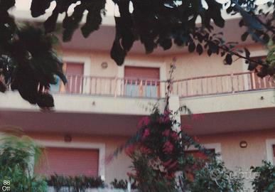 Grande appartamento indipendente