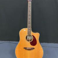 Chitarra acustica Breedlove AD25/SR PLUS