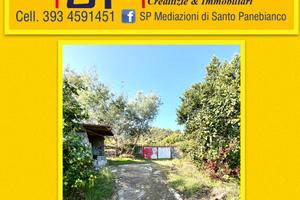 Ampio Terreno Agricolo