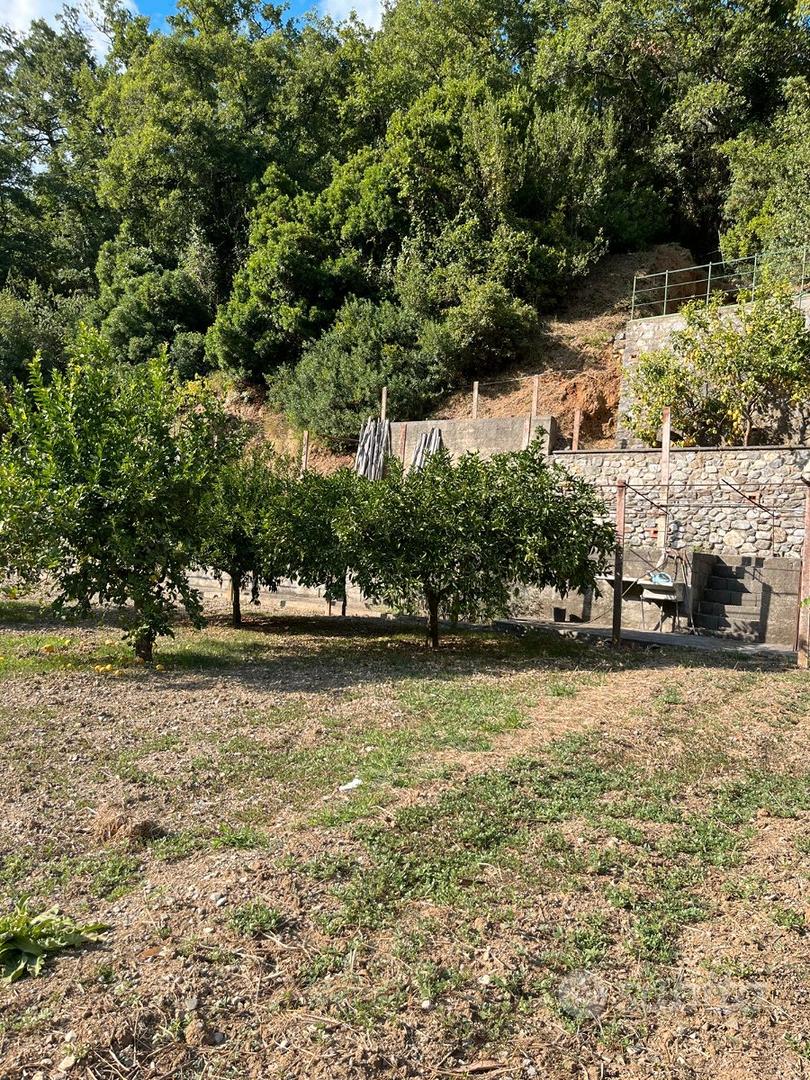 Proprietà vicino Diamante immersa nel verde - Vista 3