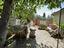 Immagine 25
