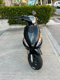 zip piaggio