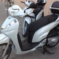Carene sh 300