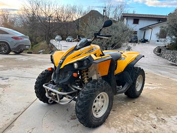 Can am renegade