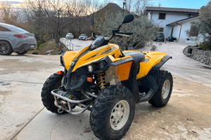 Can am renegade