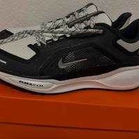 Nike pegasus 41 gtx