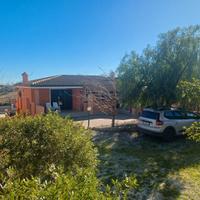 Al mare immersi nel verde