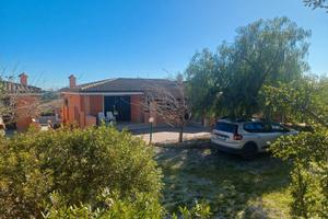 Al mare immersi nel verde