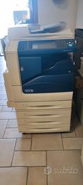 stampante Xerox