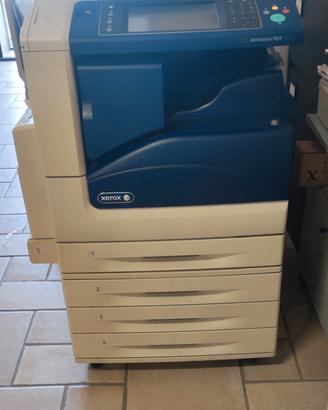 stampante Xerox