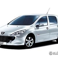 Peugeot 206- 207- 307 ricambi