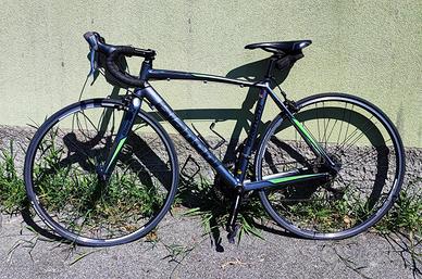 bianchi neirone 7 tg s