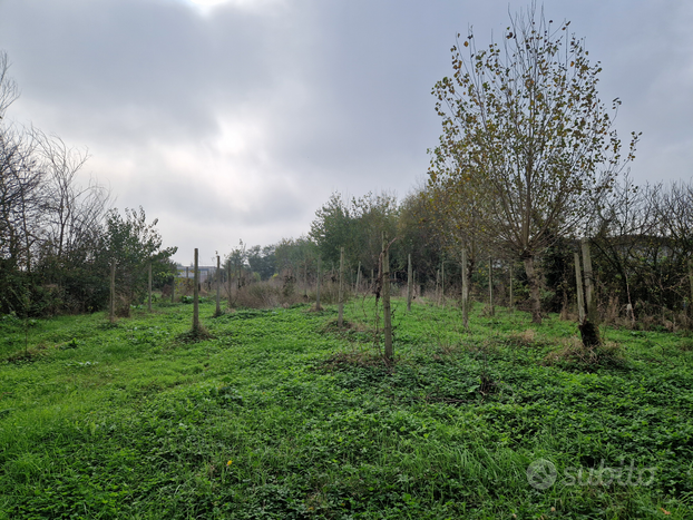 Terreno agricolo