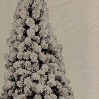 albero natale innevato