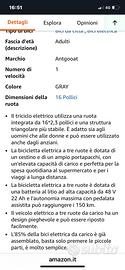 Bicicletta eletrica