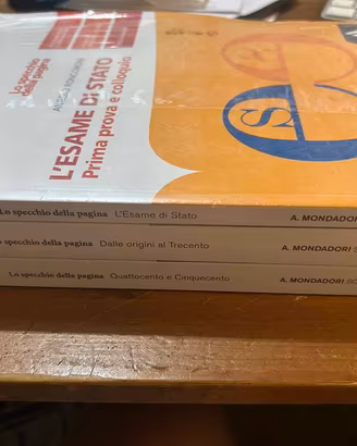 Lo specchio della paginaVol. 1 A+B-NUOVO SIGILLATO