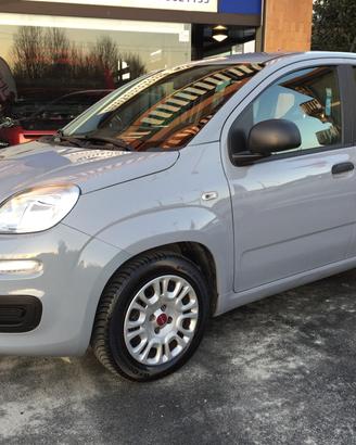 Fiat Panda 1.0 FireFly S&S Hybrid X NEOPATENTATI