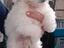 Immagine 3