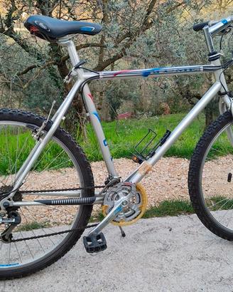 Bicicletta Mountain Bike Uomo