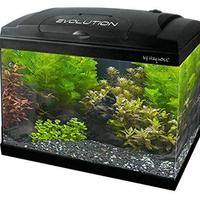 Acquario Haquoss Evolution 5G 60 lt nero COMPLETO