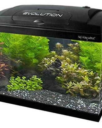 Acquario Haquoss Evolution 5G 60 lt nero COMPLETO