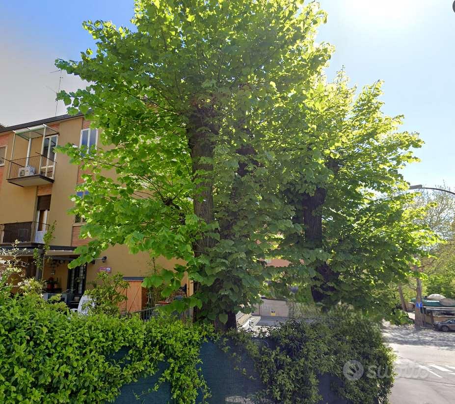 Appartamento – Bologna, San Ruffillo, Savena - Vista 4