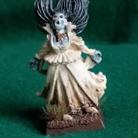 Banshee metallo dipinta per Warhammer