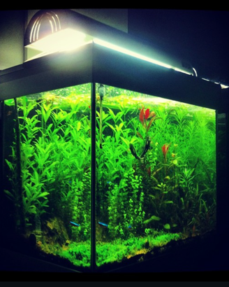 Acquario Professionale 100L COMPLETO