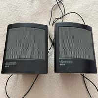 Piccole casse altoparlanti con connettore jack