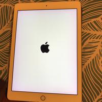Ipad Pro 9,7” 32 GB wifi + sim