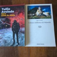 Romanzi Tullio Avoledo