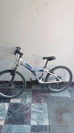 MOUNTAIN Bike 8-10 anni