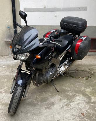 TDM 900 2002