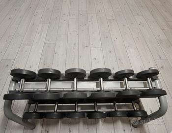 Rack/manubri Technogym